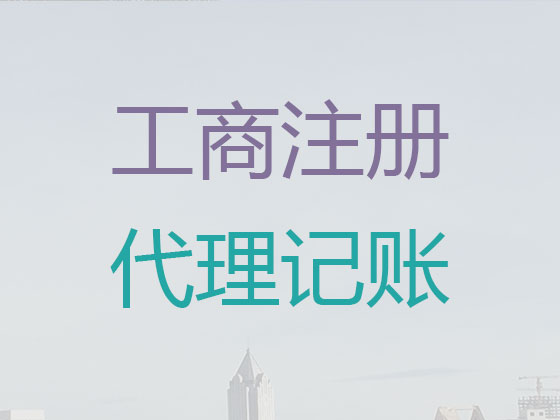 三亚代理记账报税服务|代理个人公司记账/做账